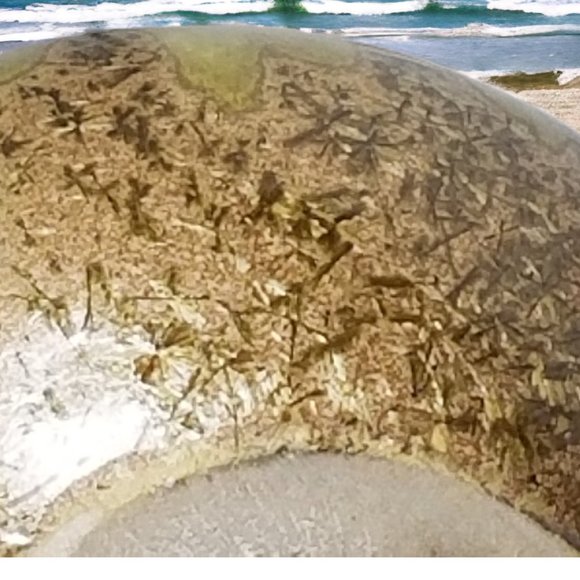 Art Studio Pottery Blue Bud Vase Gold & Brown Ombre Drip Mixed Glaze Vase - Picture 5 of 8